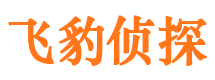 库车市私家侦探